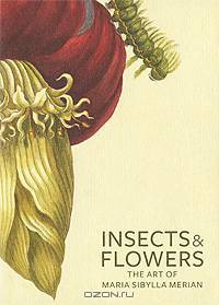 Insects and Flowers: The Art of Maria Sibylla Merian