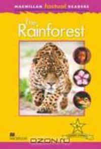 The Rainforest