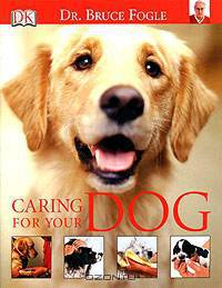 Caring for Your Dog