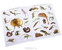 Reptile