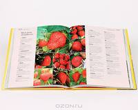 Grow Fruit
