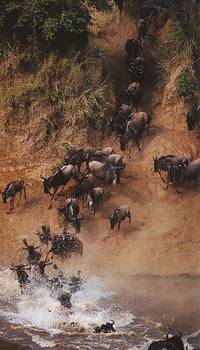 Kenya