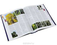 Gardening Step by Step