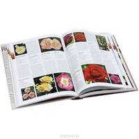 Encyclopedia of Roses