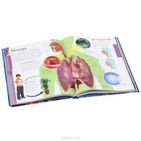 Human Body a Children