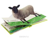 Pop-Up Farm Animals