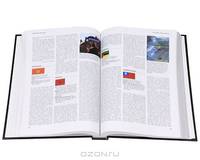 Britannica Book of Year 2008 (подарочное издание)