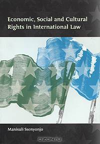 Economic, Social and Cultural Rights in International Law