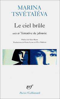Le ciel brule - Suivi de Tentative de jalousie