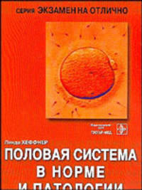 Половая система в норме и патологии: Учеб. пособ. /Пер. с англ.