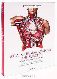 Atlas of Human Anatomy and Surgery
