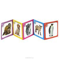 Книжка-пищалка. Удивительные животные. Погладь меня! (книжка-раскладушка)