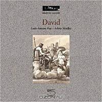 David. Louvre. Drawing Gallery