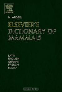Elsevier