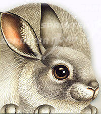 Зверята / Про зайку