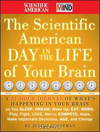 The Scientific American Day in the Life of Your Brain