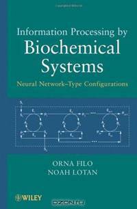 Information Processing by Biochemical Systems