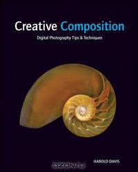 Creative Composition