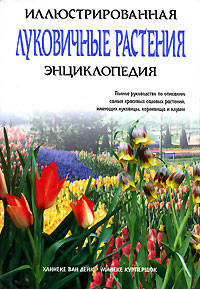Луковичные растения. Иллюстрированная энциклопедия