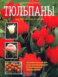 Тюльпаны. Символ солнца и весны