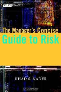 The Manager?s Concise Guide to Risk