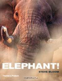Elephant!