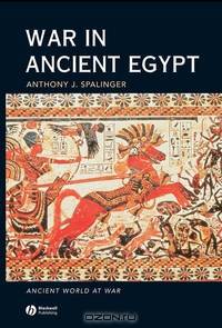 War in Ancient Egypt