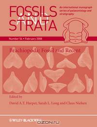 Fossils and Strata