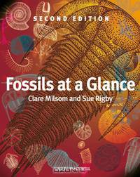 Fossils at a Glance