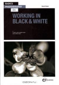 Basics Photography 06: Working in Black & White