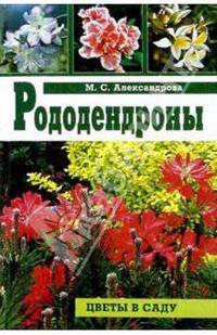 Рододендроны