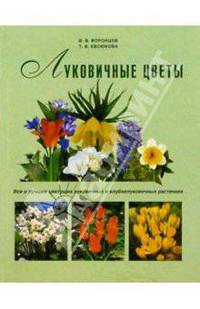 Луковичные растения