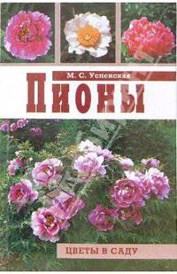 Пионы