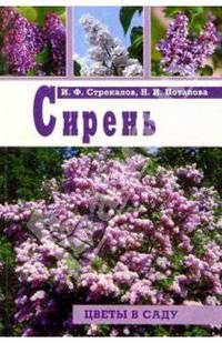 Сирень