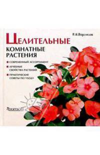 Целительные комнатные растения.