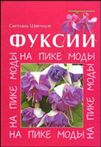 Фуксии. На пике моды