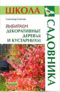 Выбираем декоративные деревья и кустарники