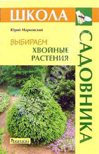 Выбираем хвойные растения