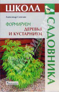Формируем деревья и кустарники