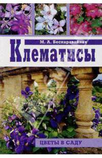 Клематисы