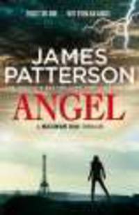 Maximum Ride. Angel