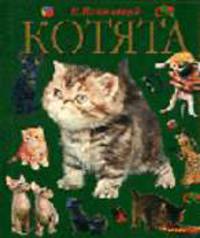 Котята - (Ваши питомцы)