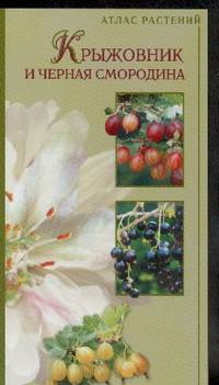 Крыжовник и черная смородина - (Атлас растений)