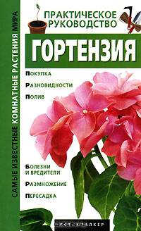 Гортензия - (Самые известные комнатные растения мира)