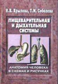 Пищеварительная и дыхательная системы: Анатомия человека в схемах и рисунках: Атлас-пособие. - 2-е изд., перераб. и доп.