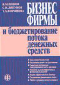 Бизнес фирмы и бюджетирование потока денежных средств