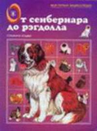 От сенбернара до рэгдолла: Собаки и кошки / Художник О. Жидков - (Моя первая энциклопедия)