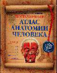 Популярный атлас анатомии человека