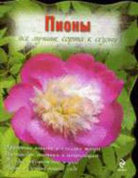Пионы: все лучшие сорта к сезону