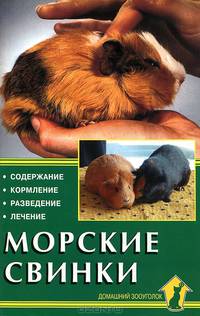Морские свинки. Содержание. Кормление. Разведение. Лечение
